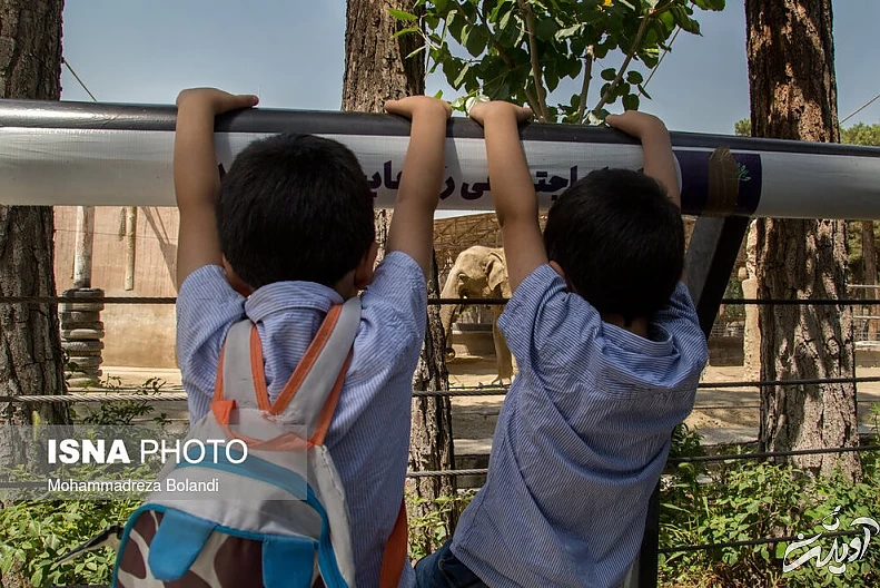 (تصاویر) رونمایی از «مایسا» در باغ وحش ارم